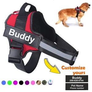 Pet Harness Vest